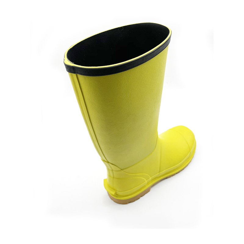 DSHT-S301 rubber safety boots